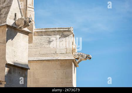 Wasserspeier der Stiftskirche Notre-Dame-des-Anges gegen den blauen Himmel, früher Basilika Saint-Laurent genannt, in L'Isle-sur-la-Sorgue. Stockfoto