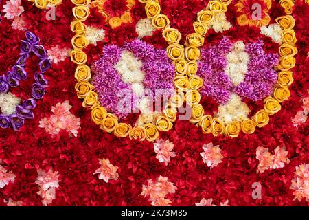 Schöne bunte Blumen Wand Hintergrund. Stockfoto