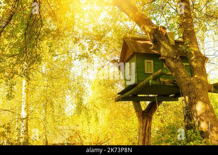 Ein kleines Kinderhaus für Spiele und Unterhaltung auf einem Baum im Park. Haus auf den Zweigen eines großen Baumes Stockfoto