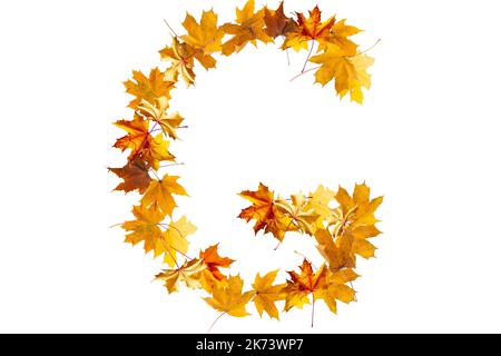 Alphabet Buchstaben mit gelben Herbstblättern, um die Kapitelle auf einem steinernen Hintergrund zu bilden. Der Buchstabe g Stockfoto