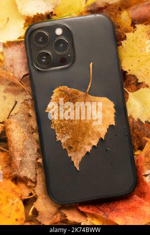 Ein neues iPhone-Telefon 13 oder 14 mit orangefarbenem Laub. Herbst Verkauf von Handys und Gadgets cocept. Stockfoto