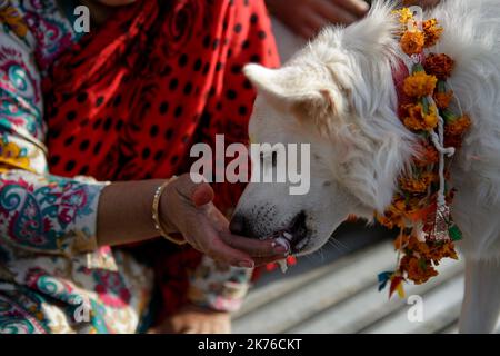 Eine nepalesische Frau verehrt einen Hund, der Girlande und Zinkpulver anwendet, und bietet während des KUKUR TIHAR- oder Hundegottestages in Kathmandu, Nepal, am 6. Oktober 2018, Nahrung an. Hunde werden verehrt, um ihre Rolle bei der Bereitstellung von Sicherheit und als Mensch bester Freund anzuerkennen, am zweiten Tag der wichtigsten hinduistischen Feste Tihar, die auch der Anbetung der Göttin des Reichtums Laxmi gewidmet ist. Stockfoto