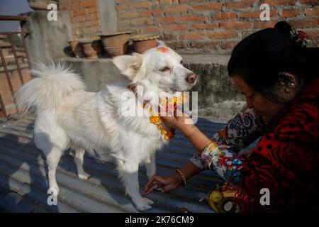 Eine nepalesische Frau verehrt einen Hund, der Girlande und Zinkpulver anwendet, und bietet während des KUKUR TIHAR- oder Hundegottestages in Kathmandu, Nepal, am 6. Oktober 2018, Nahrung an. Hunde werden verehrt, um ihre Rolle bei der Bereitstellung von Sicherheit und als Mensch bester Freund anzuerkennen, am zweiten Tag der wichtigsten hinduistischen Feste Tihar, die auch der Anbetung der Göttin des Reichtums Laxmi gewidmet ist. Stockfoto