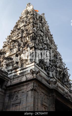 Vertikales Foto des Shri Ponnambalawaneswaram Kovil-Tempels mit geschnitzten Statuen aus massivem Granit. Colombo, Sri Lanka Stockfoto