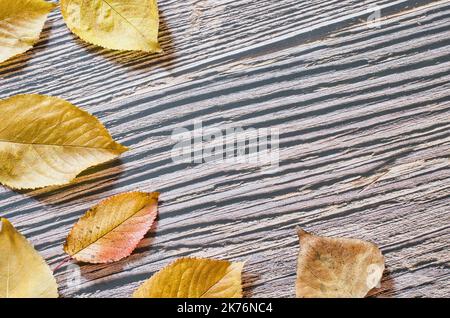 Gruppe von gelben und orangen Herbstblättern auf einem Holztisch Stockfoto