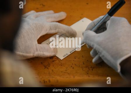 Nach dem Scannen werden die Referenzen des Fotos, des Autors, des Jahres und eine Beschreibung des Fotos auf den Umschlag geschrieben. Stockfoto