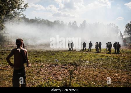 Im September 2014 verteidigen in Sivens fast 300 Anarchisten und Umweltaktivisten den Wald von Sivens, auf dem der Staat einen Staudamm bauen will. Es kommt dann zu Zusammenstößen mit der Gendarmerie. Stockfoto