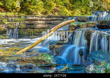 Ein atemberaubend schöner kleiner Wasserfall mit einem gefallenen Baum, der sich an den Felsen lehnt, fließt den Fluss hinunter zu einem größeren Wasserfall in Tennessees Burge Stockfoto