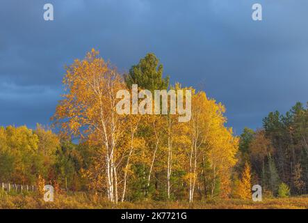 Wunderschönes Licht, das die Herbstfarben am Little Clam Lake im Norden von Wisconsin erhellt. Stockfoto