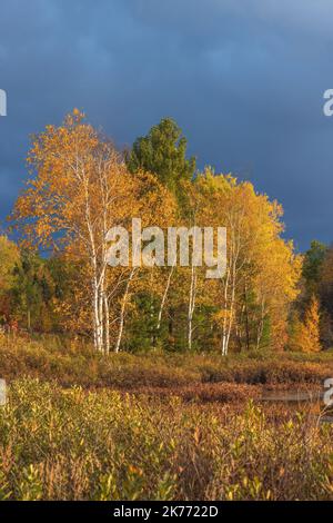 Wunderschönes Licht, das die Herbstfarben am Little Clam Lake im Norden von Wisconsin erhellt. Stockfoto