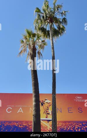 ©FRANCK CASTEL/MAXPPP - die jährlichen Filmfestspiele von Cannes 72. CANNES, FRANKREICH - MAI 14 die jährlichen Filmfestspiele von Cannes 72. am 14. Mai 2019 in Cannes, Frankreich. Stockfoto