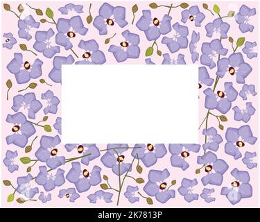 Blume und Pflanze, Illustration Rahmen der schönen violetten Phalaenopsis oder Doritaenopsis Orchideenblüte Streifen. Stockfoto