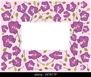 Blume und Pflanze, Illustration Rahmen der schönen violetten Phalaenopsis oder Doritaenopsis Orchideenblüte Streifen. Stockfoto