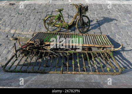 Mitarbeiter des Pariser Rathauses haben am 21. Juli 2019 Fahrräder, Pergamente, Roller und Roller am Ufer der seine in Paris aufgestellt Stockfoto