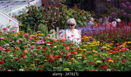 GÄRTEN DES WEST DEAN COLLEGE IN DER NÄHE VON CICHESTER, WEST SUSSEX, PIC MIKE WALKER 2016 Stockfoto