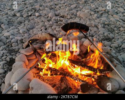 Würstchen über einem Feuer braten Stockfoto