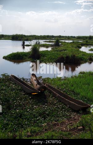 ©Arnaud De Grave / Le Pictorium/MAXPPP - Arnaud De Grave / Le Pictorium - 27/11/2015 - Madagaskar / Alaotra-Mangoro - pirogues devant le marais du lac Alaotra. / 27/11/2015 - Madagaskar / Alaotra-Mangoro - Pirogen vor den Sümpfen... Stockfoto