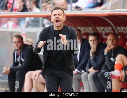 Köln, Deutschland. 16. Oktober 2022. Cheftrainer Enrico Maassen (FCA), Köln, Deutschland. 28. August 2022. 1. Bundesliga 10. Spieltag, 1. FC Köln - FC Augsburg die DFL-BESTIMMUNGEN VERBIETEN DIE VERWENDUNG VON FOTOGRAFIEN ALS BILDSEQUENZEN UND/ODER QUASI-VIDEO.Quelle: Jürgen Schwarz/Alamy Live News Quelle: Jürgen Schwarz/Alamy Live News Stockfoto