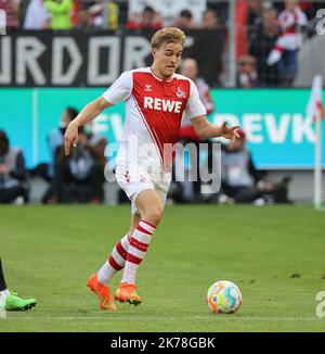 Köln, Deutschland. 16. Oktober 2022. Timo Huebers (Köln), Köln, Deutschland. 28. August 2022. 1. Bundesliga 10. Spieltag, 1. FC Köln - FC Augsburg die DFL-BESTIMMUNGEN VERBIETEN DIE VERWENDUNG VON FOTOGRAFIEN ALS BILDSEQUENZEN UND/ODER QUASI-VIDEO.Quelle: Jürgen Schwarz/Alamy Live News Quelle: Jürgen Schwarz/Alamy Live News Stockfoto