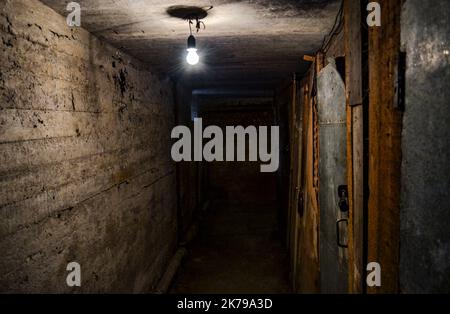 Ein unheimlicher dunkler Betonkorridor im Keller, der von einer einzigen Glühbirne beleuchtet wird, die von der niedrigen Decke hängt. Speicherplatz kopieren. Stockfoto