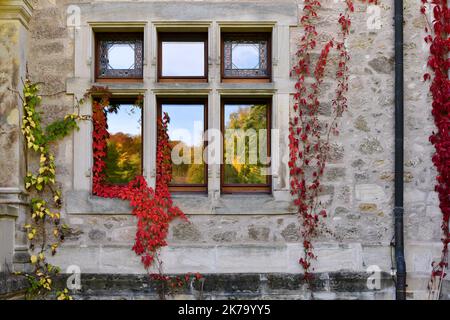 Burgfenster mit Rotwein Stockfoto