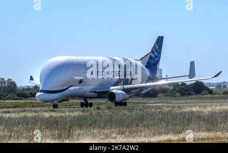 PERPIGNAN AM 22. Juni 2020 / Luftfahrt / die BELUGA XL der Firma Airbus führt im starken Wind (Tramontan) am Flughafen Perpignan Touch and Go durch. Stockfoto