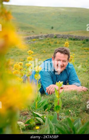 2020/07/04. Rodung von Enzianwurzeln im Zentrum Frankreichs. Stockfoto