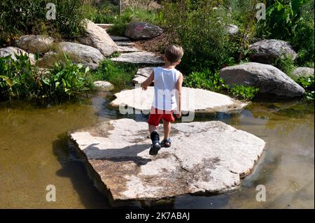 ©PHOTOPQR/OUEST FRANCE/Lucie Weeger ; Nantes ; 28/07/2020 ; Le Jardin extraordinaire, à Nantes, A été aménagé au sein d'une ancienne Carrière de Granit désaffectée. L'idée est de recréer l'univers féérique des Voyages Extraordinaires de Jules Verne dont la maison natale est située tout à proximité qui a par ailleurs guidé le choix de ces plantes luxuriantes. - 2020/07/28. Der außergewöhnliche Garten in Nantes wurde in einem ehemaligen Steinbruch aus verlassenen Granit erbaut. Die Idee ist es, das magische Universum der außergewöhnlichen Reisen von Jules Verne, dessen Geburtsort befindet sich in unmittelbarer Nähe, neu zu erstellen Stockfoto