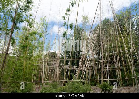 ©PHOTOPQR/OUEST FRANCE/Lucie Weeger ; Nantes ; 28/07/2020 ; Le Jardin extraordinaire, à Nantes, A été aménagé au sein d'une ancienne Carrière de Granit désaffectée. L'idée est de recréer l'univers féérique des Voyages Extraordinaires de Jules Verne dont la maison natale est située tout à proximité qui a par ailleurs guidé le choix de ces plantes luxuriantes. - 2020/07/28. Der außergewöhnliche Garten in Nantes wurde in einem ehemaligen Steinbruch aus verlassenen Granit erbaut. Die Idee ist es, das magische Universum der außergewöhnlichen Reisen von Jules Verne, dessen Geburtsort befindet sich in unmittelbarer Nähe, neu zu erstellen Stockfoto