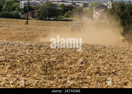 ©PHOTOPQR/LE REPUBLICAIN LORRAIN/Pierre HECKLER ; Thionville ; 13/08/2020 ; Illustration secheresse et agriculture - agriculture, Dürre Stockfoto