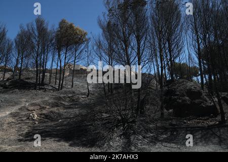 ©PHOTOPQR/LA PROVENCE/Serge Gueroult ; Vitrolles ; 24/08/2020 ; Suite de l'incendie de Vitrolles , le Parc de la cigaliere totalement detruit par les flammes . Une maison a aussi ete entierement detruite . Feuer bei Istres: Das Feuer hat bereits 450 Hektar bedeckt. 24. August 2020 Stockfoto