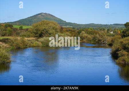 Blick auf den Wrekin-Hügel in der Nähe von Telford in Shropshire, Großbritannien, mit Blick auf den Fluss Severn von der Brücke in Cressage mit Herbstfarben auf den Bäumen aufgenommen Stockfoto