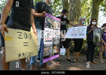 ©PHOTOPQR/LE PROGRES/Joël PHILIPPON - Lyon 13/09/2020 - Manif anti Zoo du Parc de la Tête d'Or à Lyon. 13 septembre 2020 -Manif anti Zoo du Parc de la Tête d'Or à Lyon. A l’Appel de l’Association Rando pour la planète, une Manifestation pacifique s'est tenue au Parc de la Tête d’Or pour alerter sur les conditions de captivité des animaux du Zoo et réclamer leur remise en liberté. - 2020/09/13. Anti-Zoo-Veranstaltung im Golden Head Park in Lyon. Auf den Aufruf des Vereins Rando pour la Planète hin wurde eine friedliche Demonstration abgehalten, um über die Bedingungen der Gefangenschaft der Tiere des Zos zu wachen Stockfoto