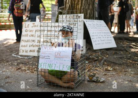 ©PHOTOPQR/LE PROGRES/Joël PHILIPPON - Lyon 13/09/2020 - Manif anti Zoo du Parc de la Tête d'Or à Lyon. 13 septembre 2020 -Manif anti Zoo du Parc de la Tête d'Or à Lyon. A l’Appel de l’Association Rando pour la planète, une Manifestation pacifique s'est tenue au Parc de la Tête d’Or pour alerter sur les conditions de captivité des animaux du Zoo et réclamer leur remise en liberté. - 2020/09/13. Anti-Zoo-Veranstaltung im Golden Head Park in Lyon. Auf den Aufruf des Vereins Rando pour la Planète hin wurde eine friedliche Demonstration abgehalten, um über die Bedingungen der Gefangenschaft der Tiere des Zos zu wachen Stockfoto