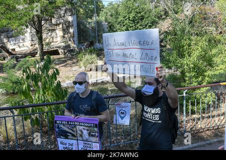 ©PHOTOPQR/LE PROGRES/Joël PHILIPPON - Lyon 13/09/2020 - Manif anti Zoo du Parc de la Tête d'Or à Lyon. 13 septembre 2020 -Manif anti Zoo du Parc de la Tête d'Or à Lyon. A l’Appel de l’Association Rando pour la planète, une Manifestation pacifique s'est tenue au Parc de la Tête d’Or pour alerter sur les conditions de captivité des animaux du Zoo et réclamer leur remise en liberté. - 2020/09/13. Anti-Zoo-Veranstaltung im Golden Head Park in Lyon. Auf den Aufruf des Vereins Rando pour la Planète hin wurde eine friedliche Demonstration abgehalten, um über die Bedingungen der Gefangenschaft der Tiere des Zos zu wachen Stockfoto