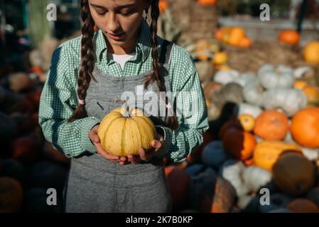 Frau mit einem kleinen Kürbis in der Herbsternte Stockfoto