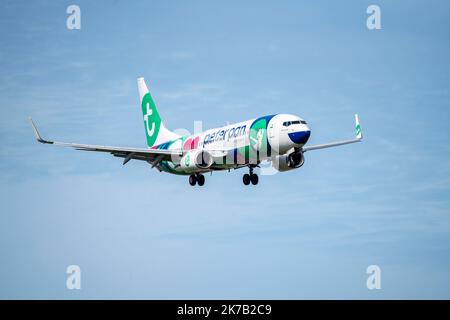 Flughafen Amsterdam Schiphol, AMS, Flugzeug nähert sich Kaagbaan, Start- und Landebahn, PH-HSI Transavia Boeing 737-800, Peter Pan Vacantieclub. Stockfoto