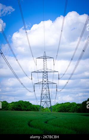 Pylon Power Electricity Electrical Distribution Luftkabel, das durch ländliche Farmer Felder mit blauem Himmel und weißen Wolken führt Stockfoto