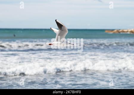 ©PHOTOPQR/VOIX DU Nord/BONNIERE Pascal ; 27/10/2020 ; Marseille 27 octobre 2020 , vacances de toussaint , Surf sur la Plage de Marseille par beau temps . Pascal BonniÃ¨RE - 2020/10/27. Allgemeine Aussicht auf Marseille, während der Ferien bei gutem Wetter. Stockfoto