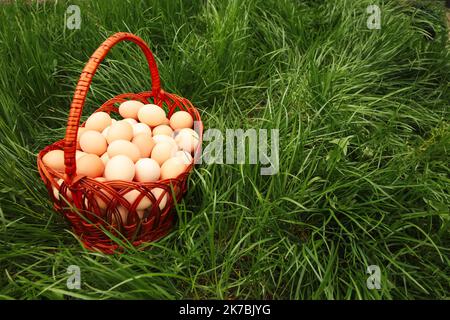 Unschärfe-Eier im Korb auf Gras Hintergrund. Hühnereier im Holzkorb auf grünem Naturboden bei bewölktem Tag. Speicherplatz kopieren. Nicht fokussiert Stockfoto