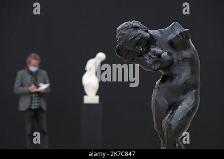 ©PHOTOPQR/L'ALSACE/Darek SZUSTER ; Riehen ; 11/12/2020 ; L'Exposition Rodin Arp va ouvrir au public ce week-end à la Fondation Beyeler. - 2020/12/11. Zum ersten Mal bringt eine Museumsausstellung Auguste Rodin (1840–1917) und Hans Arp (1886–1966) in Dialog und verbindet das bahnbrechende Werk des großen Reformers der Skulptur aus dem späten 19.. Jahrhundert mit dem einflussreichen Werk eines Hauptdarstellers der abstrakten Skulptur aus dem 20.. Jahrhundert. Stockfoto