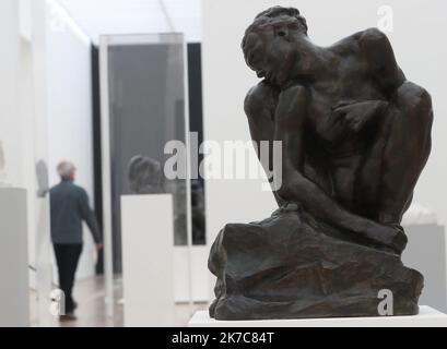 ©PHOTOPQR/L'ALSACE/Darek SZUSTER ; Riehen ; 11/12/2020 ; L'Exposition Rodin Arp va ouvrir au public ce week-end à la Fondation Beyeler. - 2020/12/11. Zum ersten Mal bringt eine Museumsausstellung Auguste Rodin (1840–1917) und Hans Arp (1886–1966) in Dialog und verbindet das bahnbrechende Werk des großen Reformers der Skulptur aus dem späten 19.. Jahrhundert mit dem einflussreichen Werk eines Hauptdarstellers der abstrakten Skulptur aus dem 20.. Jahrhundert. Stockfoto