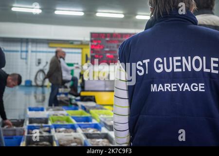 ©Olivier Donnars / Le Pictorium/MAXPPP - Olivier Donnars / Le Pictorium - 23/10/2015 - Frankreich / Bretagne / Le Guilvinec - A la criese du Guilvince (29), a peine debarques et ranges par bateau, les casiers sont inspectes dans la criese par les mareyeurs. Le Guilvinec est le Premier Port francais de peche artisanale. / 23/10/2015 - Frankreich / Bretagne / Le Guilvinec - bei der Auktion Guilvince (29) werden die Fallen, sobald sie mit dem Boot gelandet und verstaut sind, in der Auktion von den Fischgroßhändlern überprüft. Le Guilvinec ist der führende französische Hafen für handwerkliche Fischerei. Stockfoto