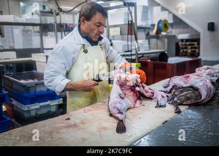 ©Olivier Donnars / Le Pictorium/MAXPPP - Olivier Donnars / Le Pictorium - 26/10/2015 - Frankreich / Bretagne / Le Guilvinec - A la ciee du Guilvinec (29), dans les ateliers de decoupé de la societe Daniel, arrivent les premieren lots de poissons. La plupart seront evides et decoupés en fillets avant Expedition. Le Guilvinec est le Premier Port francais de peche artisanale. / 26/10/2015 - Frankreich / Bretagne / Le Guilvinec - auf der Fischauktion von Guilvinec (29), in den Schneidewerkstätten der Firma Daniel, kommen die ersten Fischchargen an. Die meisten von ihnen werden vorher ausgehöhlt und in Filets geschnitten Stockfoto