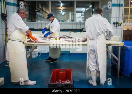 ©Olivier Donnars / Le Pictorium/MAXPPP - Olivier Donnars / Le Pictorium - 26/10/2015 - Frankreich / Bretagne / Le Guilvinec - A la ciee du Guilvinec (29), dans les ateliers de decoupé de la societe Daniel, arrivent les premieren lots de poissons. La plupart seront evides et decoupés en fillets avant Expedition. Le Guilvinec est le Premier Port francais de peche artisanale. / 26/10/2015 - Frankreich / Bretagne / Le Guilvinec - auf der Fischauktion von Guilvinec (29), in den Schneidewerkstätten der Firma Daniel, kommen die ersten Fischchargen an. Die meisten von ihnen werden vorher ausgehöhlt und in Filets geschnitten Stockfoto