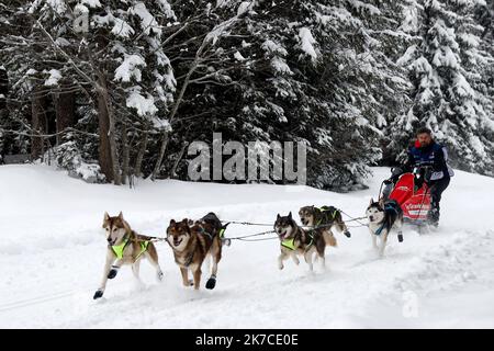 ©PHOTOPQR/LE DAUPHINE/Grégory YETCHMENIZA ; Megève ; 13/01/2021 ; Grégory YETCHMENIZA / LE DAUPHINE LIBERE / Photopqr Megève (Haute-Savoie) le 13 janvier 2021 La Grande Odyssée Savoie Mont Blanc est, depuis sa première édition en janvier 2005, la course de chiens de traineaux à eante la exigétapes. L'édition 2021 qui se déroule du 9 au 20 janvier 2021, va se déroler dans un Format inédit, à huis-clos. 60 Musher, 600 chiens , venant des meilleures Nations du mushing européen, prendront le départ sur 5 courses. La course principale, la Grande Odyssée Savoie Mont Blanc c'est, 24 Attelages Stockfoto