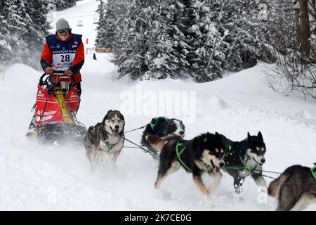 ©PHOTOPQR/LE DAUPHINE/Grégory YETCHMENIZA ; Megève ; 13/01/2021 ; Grégory YETCHMENIZA / LE DAUPHINE LIBERE / Photopqr Megève (Haute-Savoie) le 13 janvier 2021 La Grande Odyssée Savoie Mont Blanc est, depuis sa première édition en janvier 2005, la course de chiens de traineaux à eante la exigétapes. L'édition 2021 qui se déroule du 9 au 20 janvier 2021, va se déroler dans un Format inédit, à huis-clos. 60 Musher, 600 chiens , venant des meilleures Nations du mushing européen, prendront le départ sur 5 courses. La course principale, la Grande Odyssée Savoie Mont Blanc c'est, 24 Attelages Stockfoto