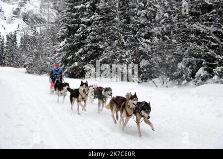 ©PHOTOPQR/LE DAUPHINE/Grégory YETCHMENIZA ; Megève ; 13/01/2021 ; Grégory YETCHMENIZA / LE DAUPHINE LIBERE / Photopqr Megève (Haute-Savoie) le 13 janvier 2021 La Grande Odyssée Savoie Mont Blanc est, depuis sa première édition en janvier 2005, la course de chiens de traineaux à eante la exigétapes. L'édition 2021 qui se déroule du 9 au 20 janvier 2021, va se déroler dans un Format inédit, à huis-clos. 60 Musher, 600 chiens , venant des meilleures Nations du mushing européen, prendront le départ sur 5 courses. La course principale, la Grande Odyssée Savoie Mont Blanc c'est, 24 Attelages Stockfoto