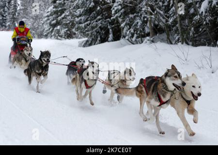 ©PHOTOPQR/LE DAUPHINE/Grégory YETCHMENIZA ; Megève ; 13/01/2021 ; Grégory YETCHMENIZA / LE DAUPHINE LIBERE / Photopqr Megève (Haute-Savoie) le 13 janvier 2021 La Grande Odyssée Savoie Mont Blanc est, depuis sa première édition en janvier 2005, la course de chiens de traineaux à eante la exigétapes. L'édition 2021 qui se déroule du 9 au 20 janvier 2021, va se déroler dans un Format inédit, à huis-clos. 60 Musher, 600 chiens , venant des meilleures Nations du mushing européen, prendront le départ sur 5 courses. La course principale, la Grande Odyssée Savoie Mont Blanc c'est, 24 Attela Stockfoto