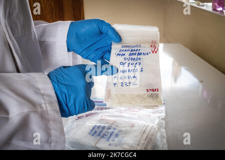 ©Olivier Donnars / Le Pictorium/MAXPPP - Olivier Donnars / Le Pictorium - 26/11/2019 - Perou / Madre de Dios - Dans le laboratoire du Centro de innovacion cientifica Amazonica (Cincia) a cote de Puerto Maldonado. Claudia Vega, sa responsable, montre un echantillon de poisson congele , servant a mesurer le taux de methyl-mercure absorbe par les poissons de la Region de Madre de Dios. / 26/11/2019 - Peru / Madre de Dios - im Labor des Centro de innovacion cientifica Amazonica (Cincia) neben Puerto Maldonado. Claudia Vega, ihre Managerin, zeigt eine Probe von gefrorenem Fisch, der zur Messung verwendet wurde Stockfoto